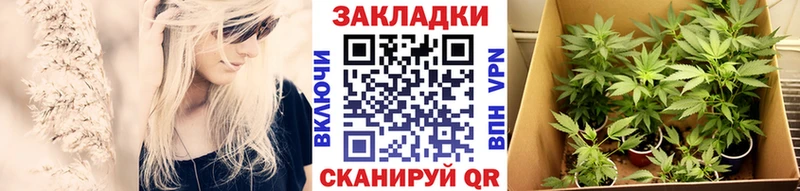 Наркошоп купить СК  Меф  МАРИХУАНА  Злынка