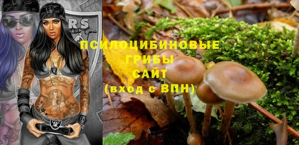 крисы Кукмор