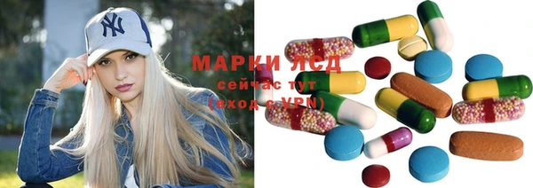 сатива Кулебаки