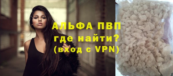 сатива Кулебаки