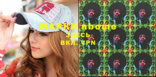 сатива Кулебаки