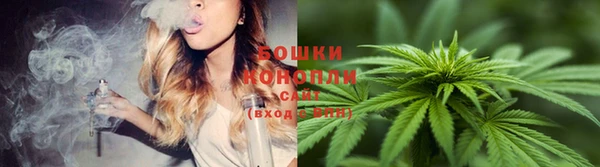 сатива Кулебаки