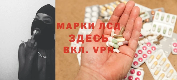 сатива Кулебаки