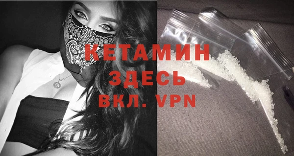 сатива Кулебаки