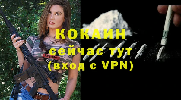 сатива Кулебаки