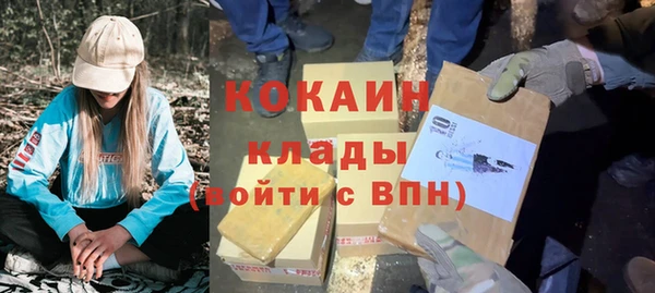 сатива Кулебаки