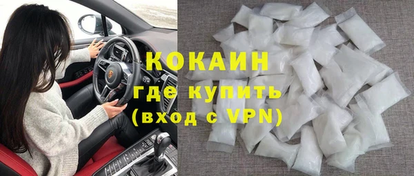 сатива Кулебаки