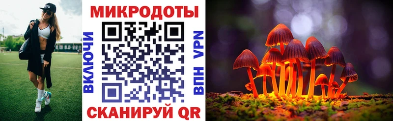 Купить закладки  Злынка  Псилоцибиновые грибы Magic Shrooms 